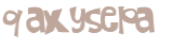 CAPTCHA 挑戰