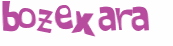 Desafio captcha