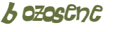 CAPTCHA 挑戰