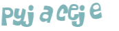 CAPTCHA 挑戰
