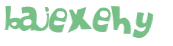 Captcha 챌린지