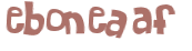 Captcha 챌린지