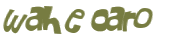 CAPTCHA 挑戰