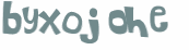 CAPTCHA 挑戰