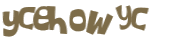 CAPTCHA 挑戰