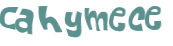 Captcha 챌린지