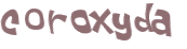 CAPTCHA 挑戰