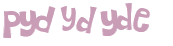 Captcha 챌린지