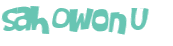 Desafio captcha