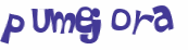 Desafio Captcha