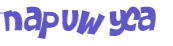 Captcha-test