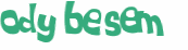 Wyzwanie captcha