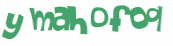 Captcha-Test