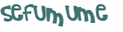 CAPTCHA-haaste