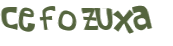 Wyzwanie captcha