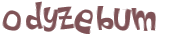 Wyzwanie captcha