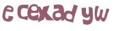CAPTCHA 挑戰