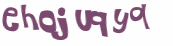 Desafio Captcha