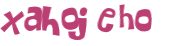 CAPTCHA 挑戰