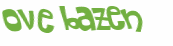 CAPTCHA 挑戰