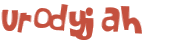 Captcha挑战