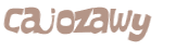 Wyzwanie captcha