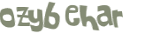 CAPTCHA 挑戰