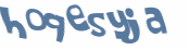 Captcha 챌린지