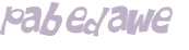 CAPTCHA 挑戰