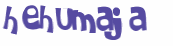 Captcha 챌린지