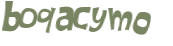 Captcha 챌린지