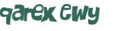 CAPTCHA 挑戰