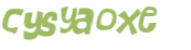 CAPTCHA 挑戰