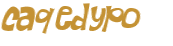 Captcha 챌린지