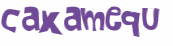 Wyzwanie captcha