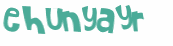 Captcha 챌린지
