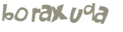 CAPTCHA 挑戰