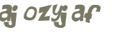 CAPTCHA 挑戰