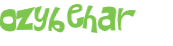 CAPTCHA 挑戰