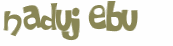 CAPTCHA 挑戰