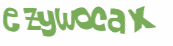 Sfida captcha