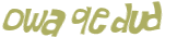 Desafio captcha