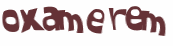 Captcha 챌린지