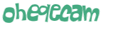 CAPTCHA 挑戰