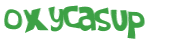 CAPTCHA 挑戰