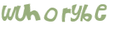 CAPTCHA 挑戰