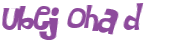 Wyzwanie captcha