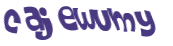 Wyzwanie captcha