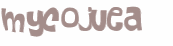 Captcha 챌린지