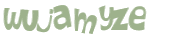 キャプチャ認証